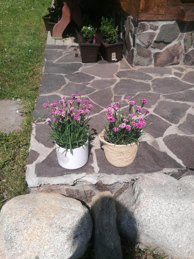 ŽiarDrevenica Zapadne Tatry S Kupacou Kadou A Krbomアパートメント エクステリア 写真